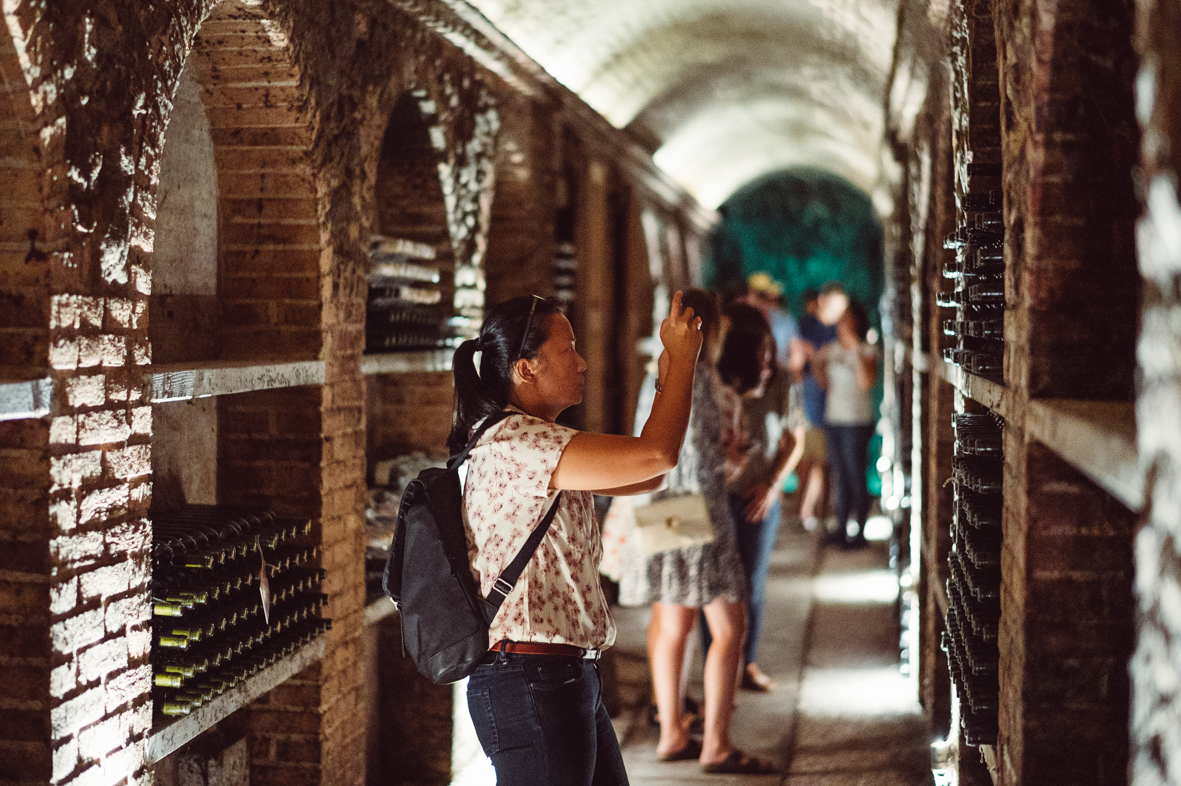 barolo wine tour