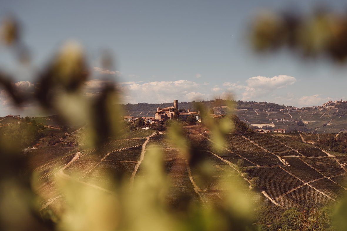barolo wine country